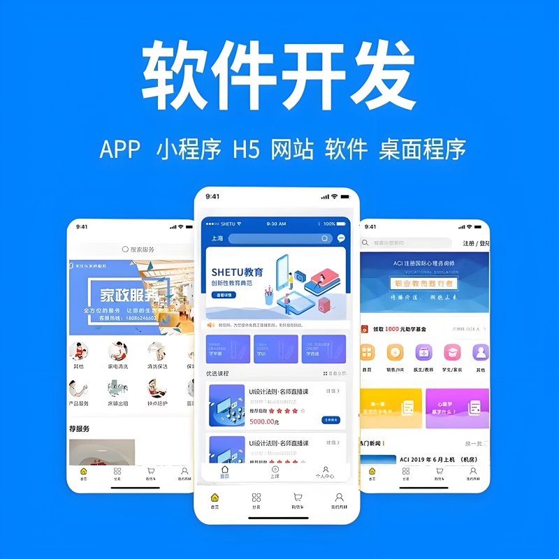软件定制开发：企业信息化进程中的催化剂